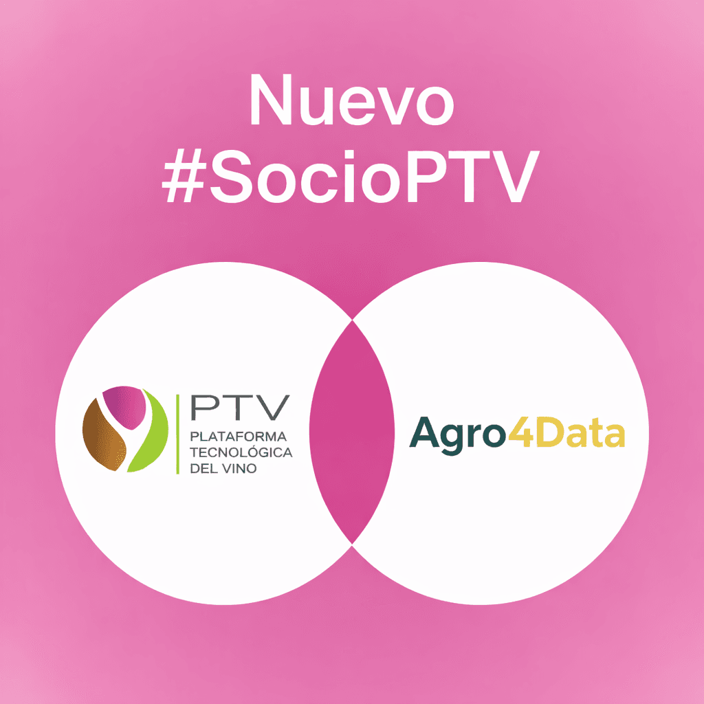 Agro4Data, nuevo socio de la PTV: IA sencilla para bodegas que quieren producir mejor