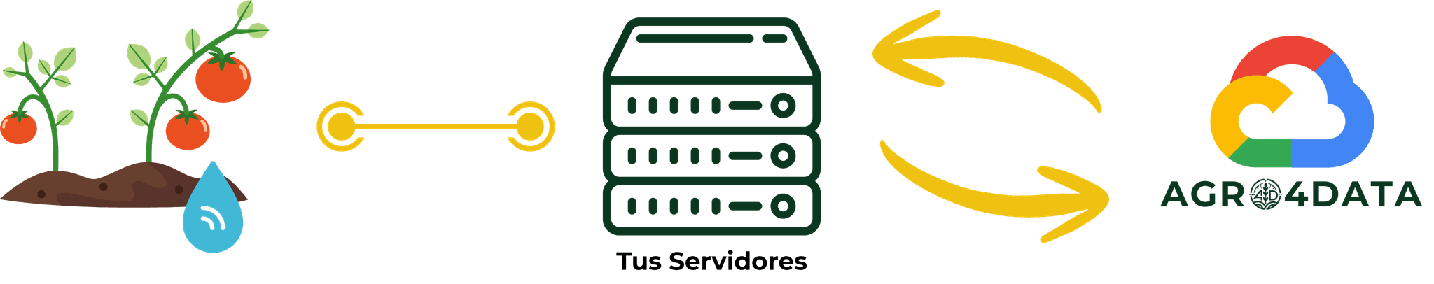 Predicciones Process