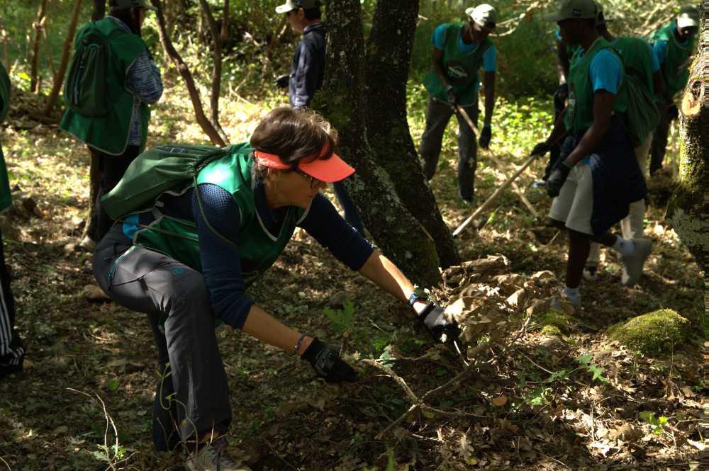Voluntarios en el proyecto A Fuego