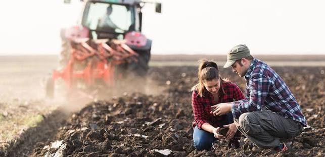 Distribuidores agrícolas: cómo vender servicios