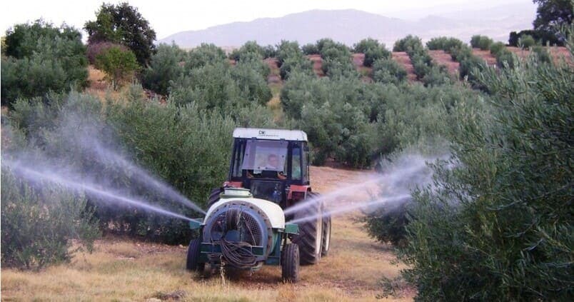 Cómo usar observaciones de campo para anticipar problemas en olivar