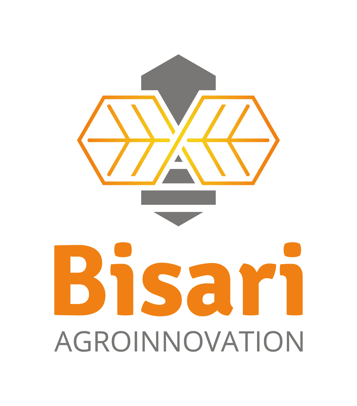 Logo de Bisari Agroinnovation Hub