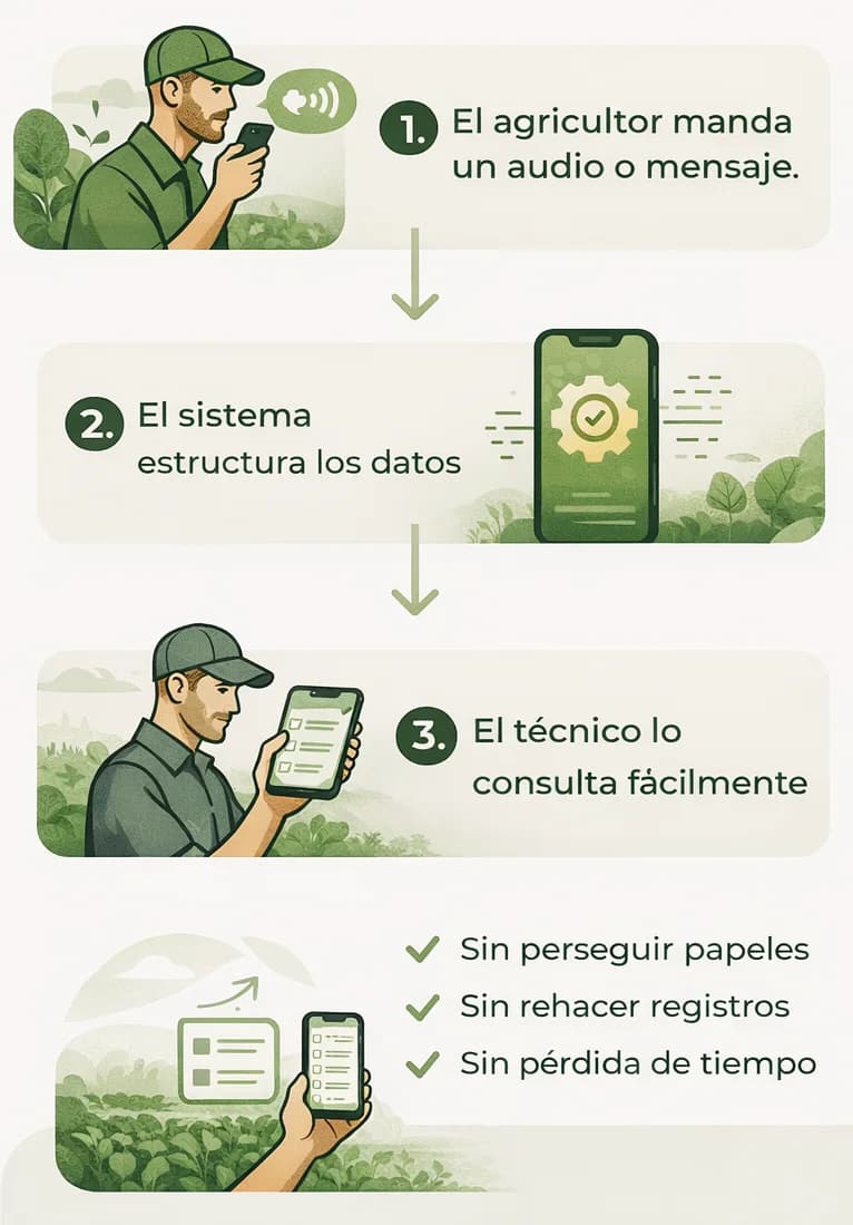 Flujo del Agente de Campo para registrar por voz y convertir el dato en estructura útil