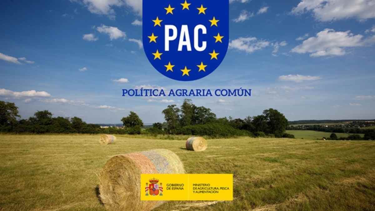 PAC 2026: fechas, errores y documentos que debes tener listos antes del 30 de abril
