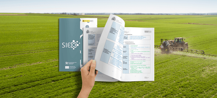 Tiempo eterno para pasar los datos a limpio