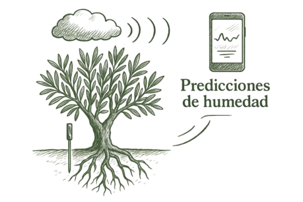 esquema predicciones humedad