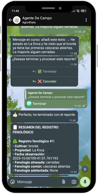 registro-feno-agro4data